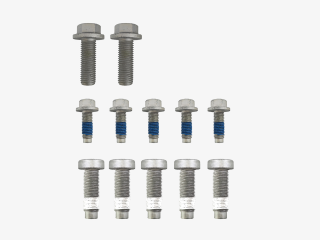 Wagner Brake Bolt Kit
